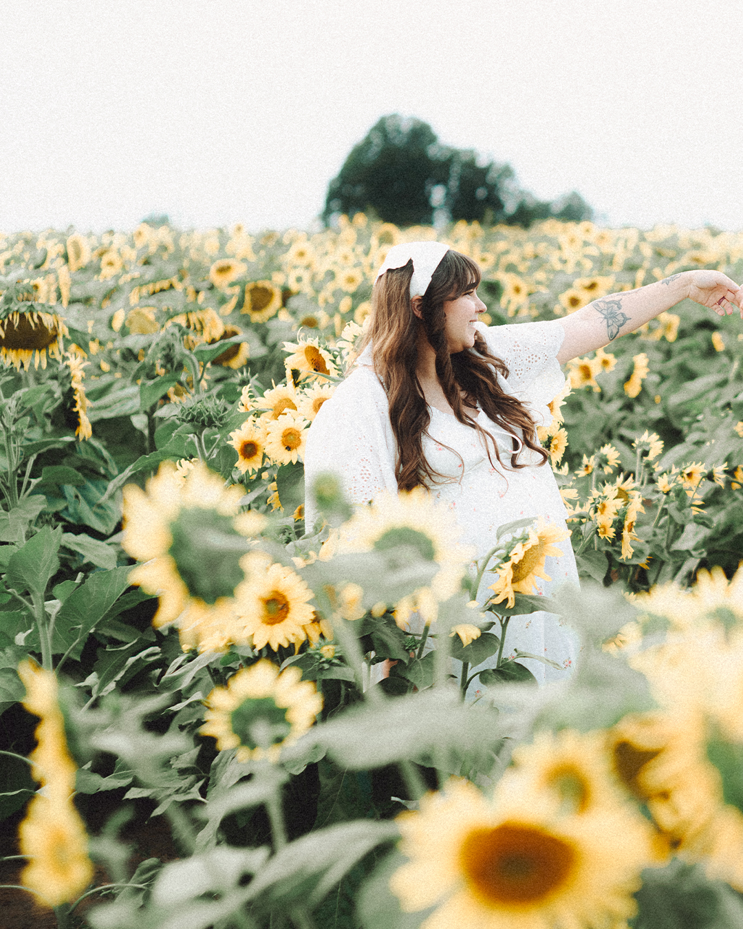 Lovestory Pregnancy Announcement Among the Sunflowers of the Wooden Shoe Tulip Farm — photograph 27 of 39